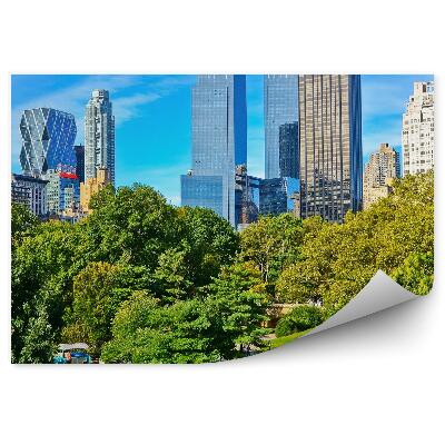Fototapeta na zeď Pohled Central Park stromy tráva alej lidé New York