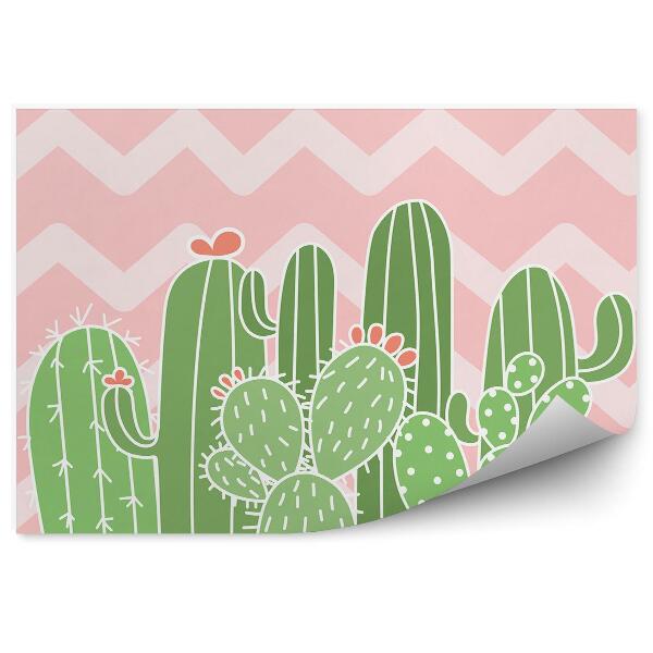 Fototapeta Geometrický vzor pruhované kaktusy