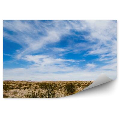 Samolepící fototapeta Nevada poušť hory pláž nebe