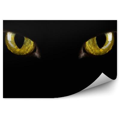 Samolepící fototapeta Černé pozadí žluté oči tma halloween