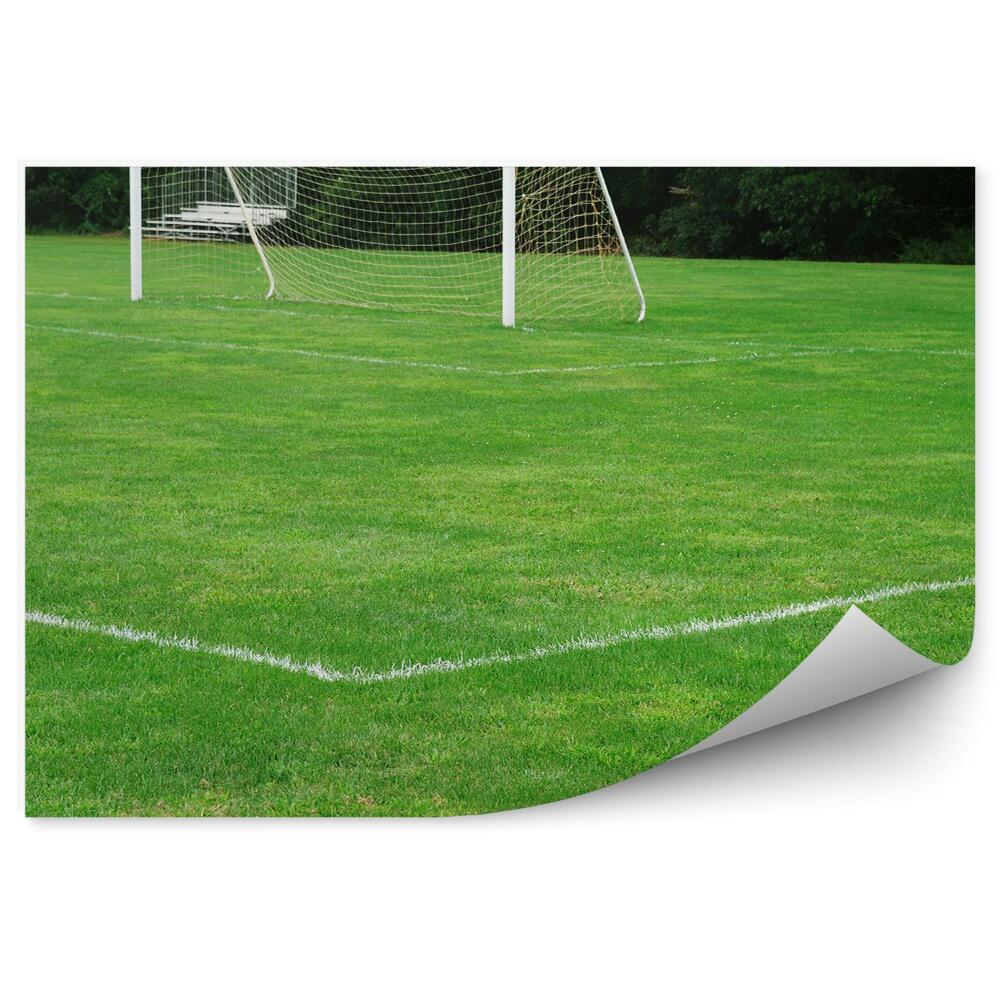 Fototapeta na zeď Trávník na hřišti s brankovištěm