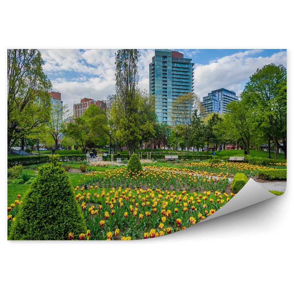 Fototapeta Garden Toronto květiny jarní tulipány