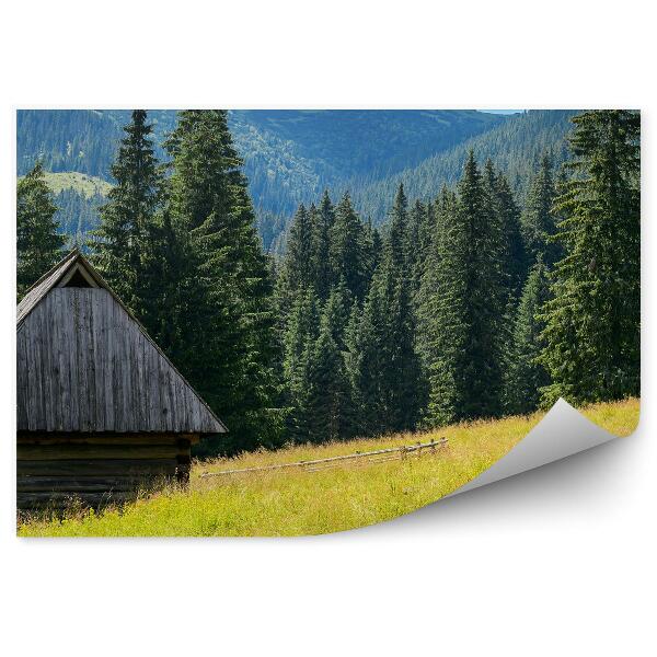 Tapeta na zeď Rýžová pole vesnice Chaing budovy západ slunce stromy