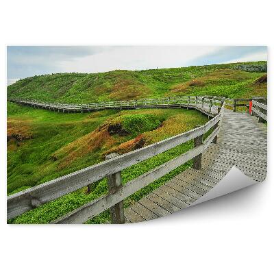 Fototapeta Dřevěná plošina zelená pole tráva