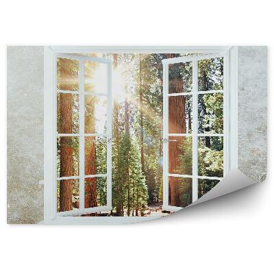 Fototapeta Stěna okno pohled les slunce