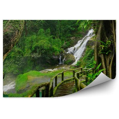Samolepící fototapeta Thajsko vodopád most mechové rostliny