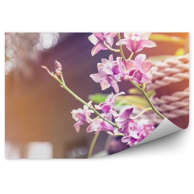 Fototapeta Růžové květy orchidejí strom šňůry