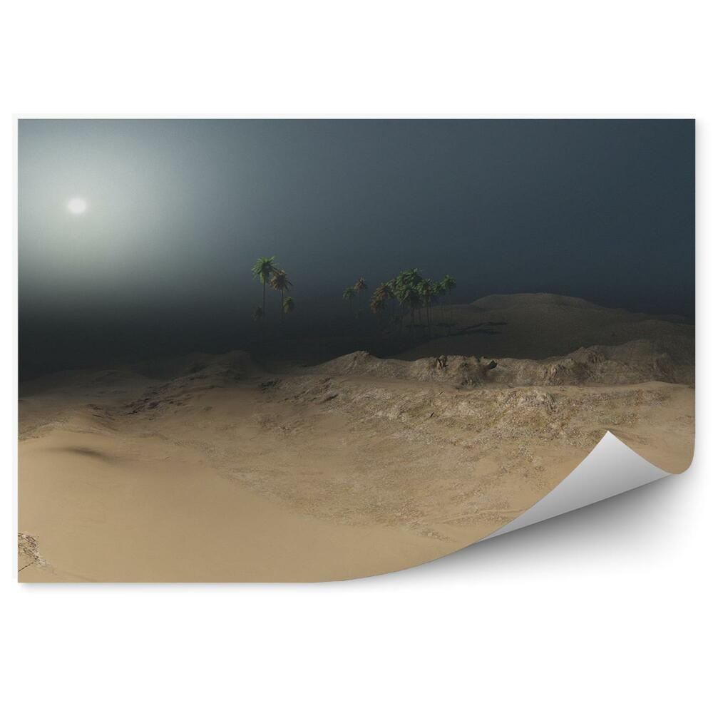 Fototapeta Panorama palem a písku pouště