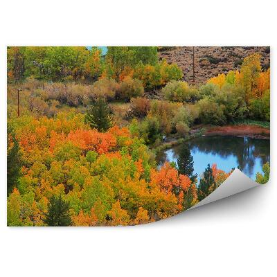 Fototapeta Krásné podzimní údolí stromy rybník