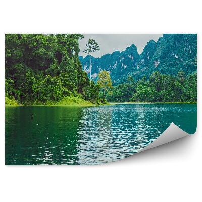 Fototapeta Voda řeka skály zelená stromy