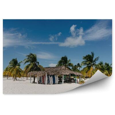 Tapeta Pohled na útes Karibské moře