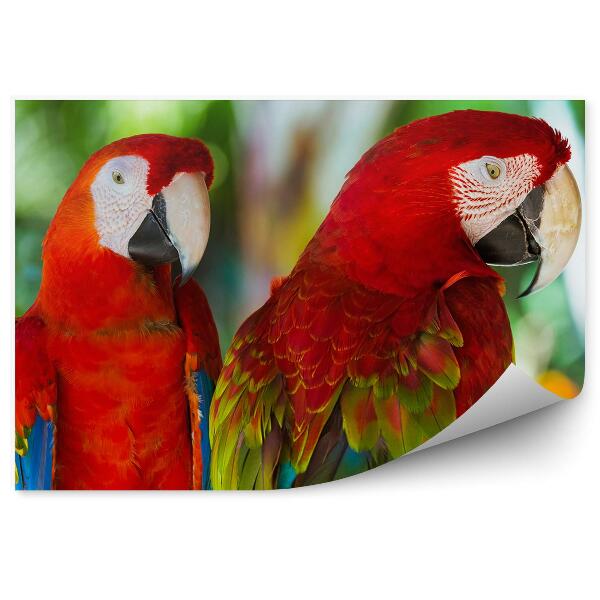 Samolepící fototapeta Aryas z ostrova Bali