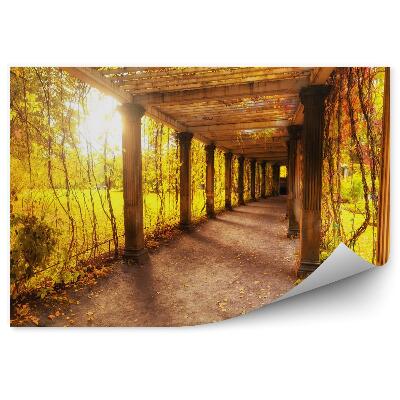 Fototapeta Krásný podzimní park