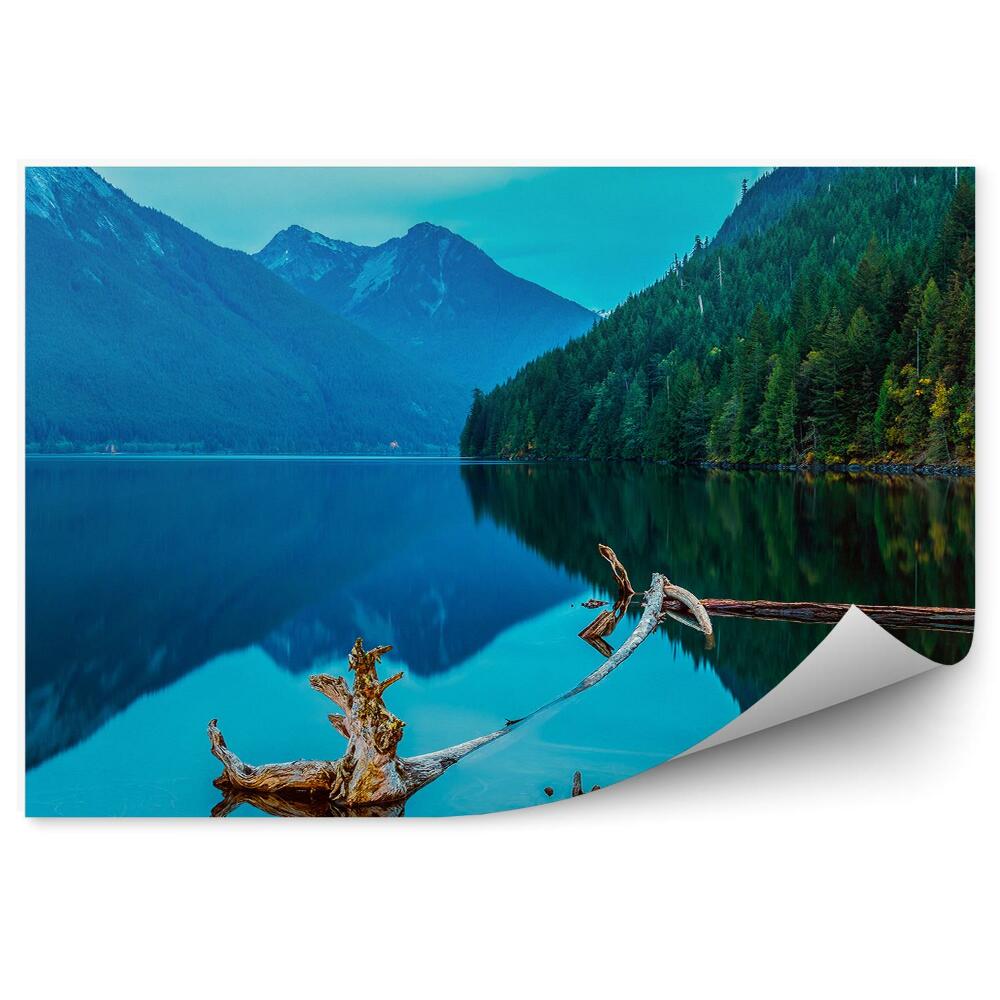 Fototapeta na zeď Jezero v Chilliwack log