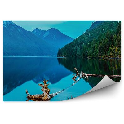 Fototapeta na zeď Jezero v Chilliwack log