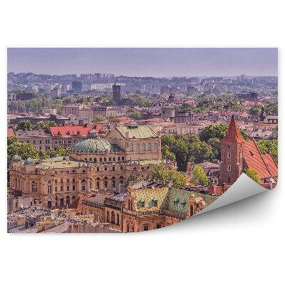 Fototapeta na zeď Hrad Wawel Krakov světla noční příroda