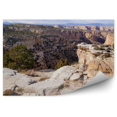 Samolepící fototapeta Barevné květiny louka horská tráva nebe