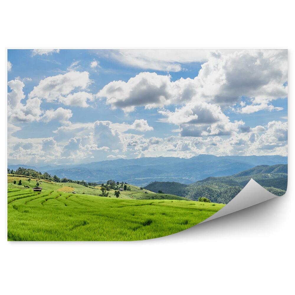 Samolepící fototapeta Zelené rýžové terasy příroda Thajsko