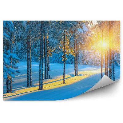 Fototapeta na zeď Les v zimě při východu slunce