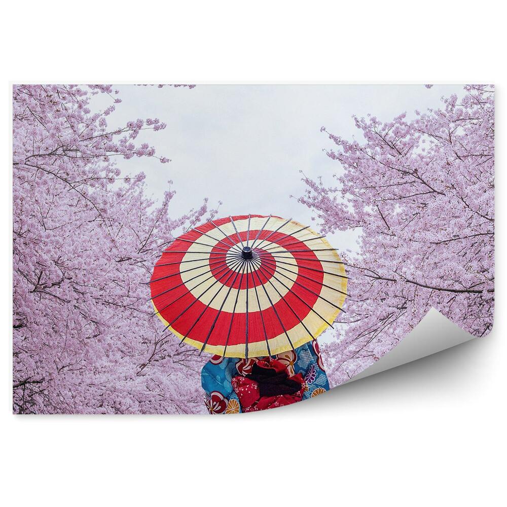Samolepící fototapeta Sakura kvetoucí stromy žena procházka park