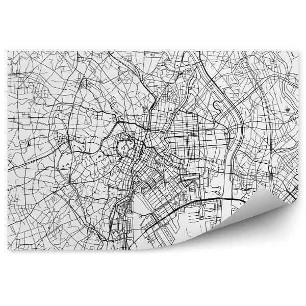 Fototapeta Japonsko Tokio plán města