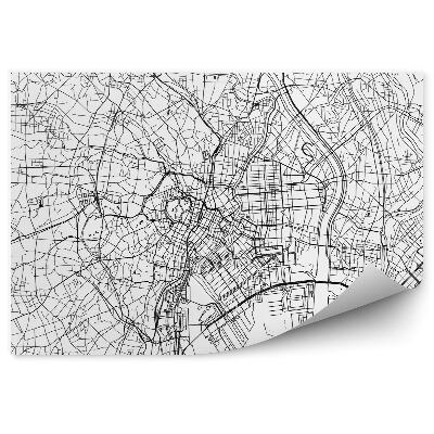 Fototapeta Japonsko Tokio plán města