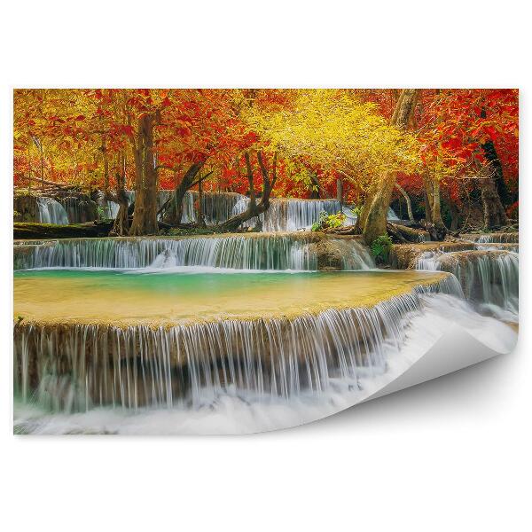 Fototapeta na zeď Podzimní kaskády les listí stromy