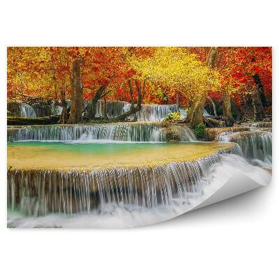 Fototapeta na zeď Podzimní kaskády les listí stromy