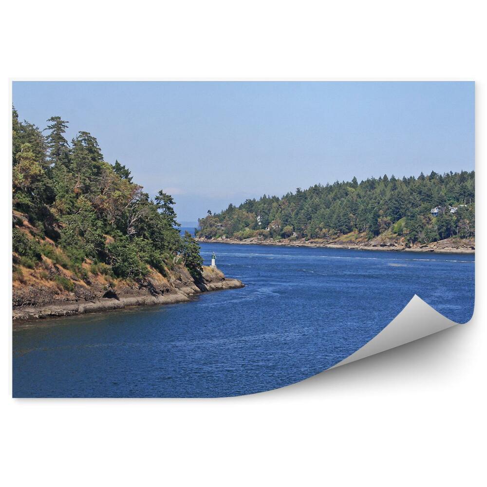 Fototapeta Vánoční stromky na ostrovech rostliny stromy voda