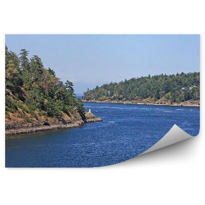 Fototapeta Vánoční stromky na ostrovech rostliny stromy voda