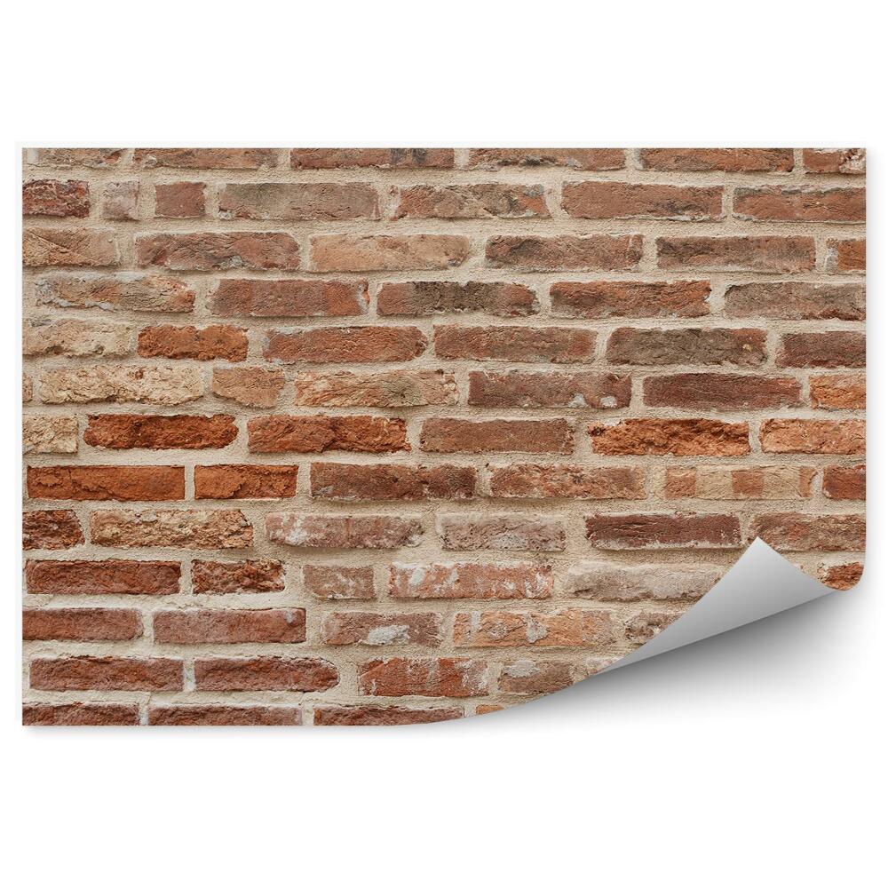 Fototapeta Staré červené cihlové zdivo