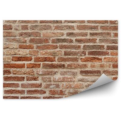 Fototapeta Staré červené cihlové zdivo