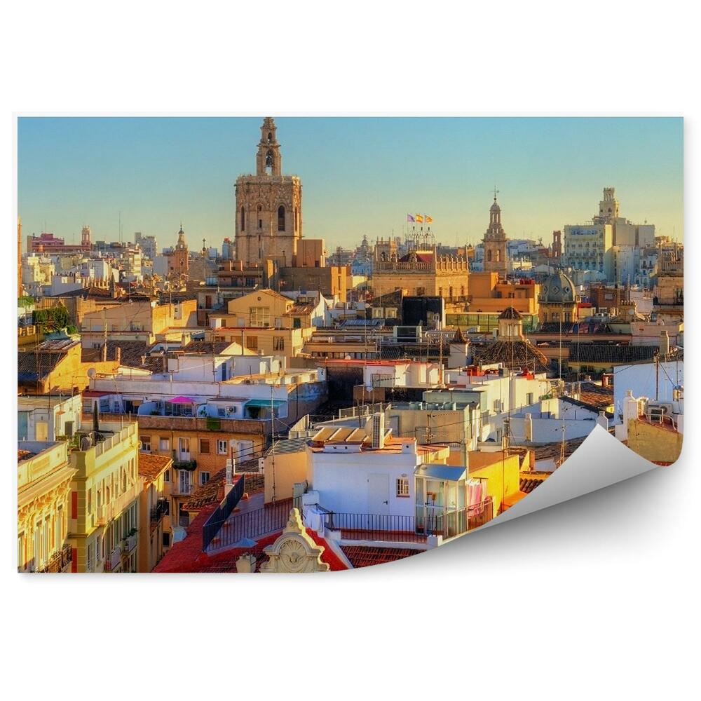 Fototapeta na zeď Letecký pohled na staré město Valencie nebe