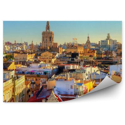 Fototapeta na zeď Letecký pohled na staré město Valencie nebe