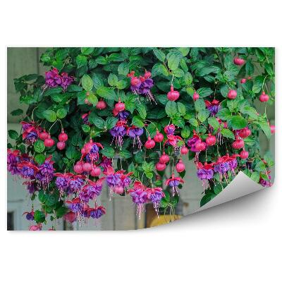 Samolepící fototapeta Růžová fialová fuchsiové květy listy windows zdi cihla