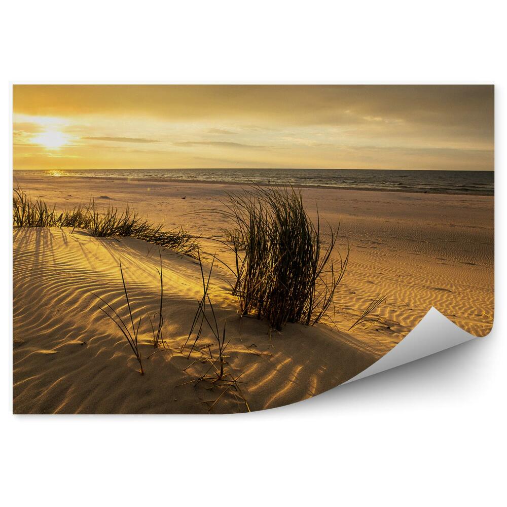 Samolepící fototapeta Duny tráva slunce svítí voda