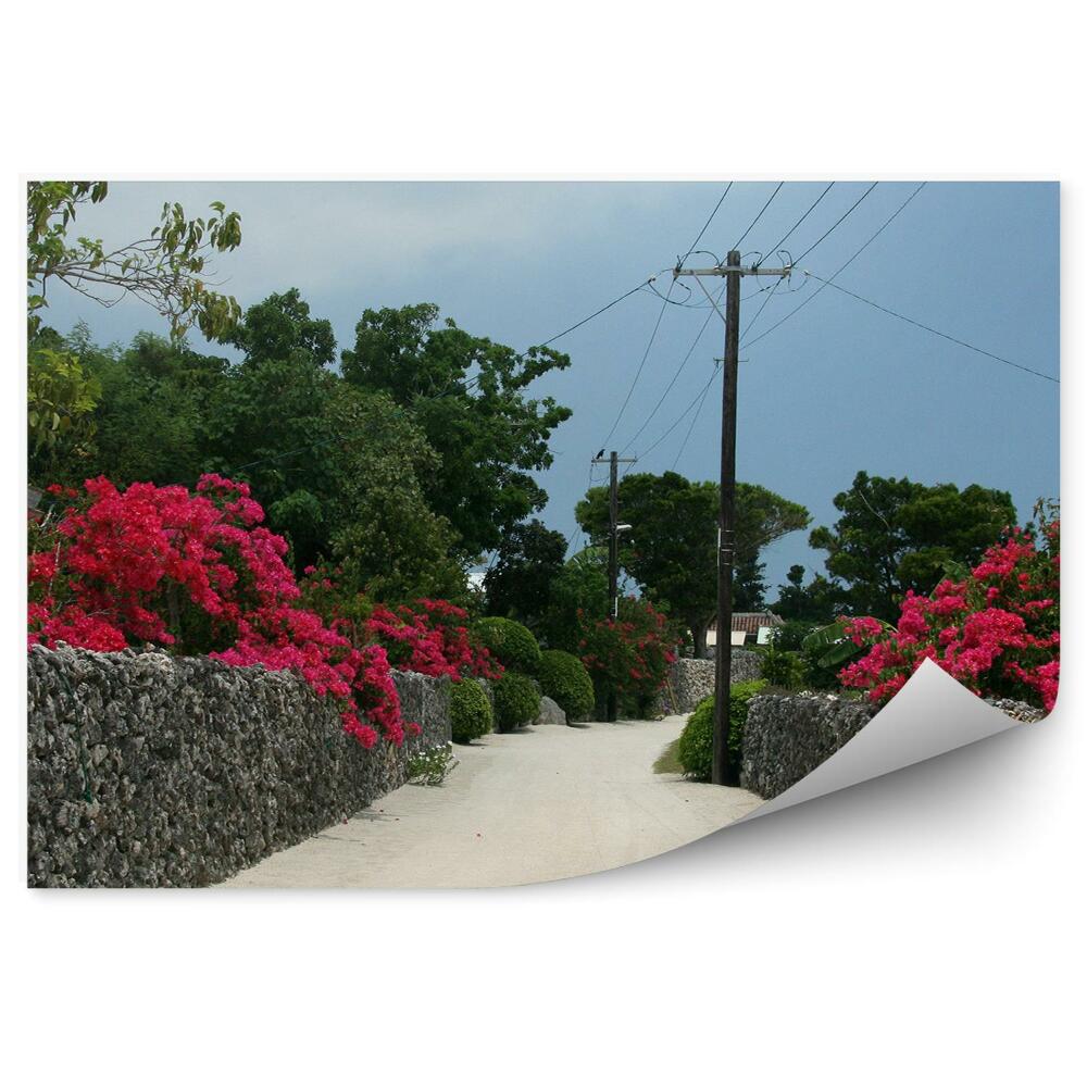 Fototapeta Okinawa Japonsko flóra květiny