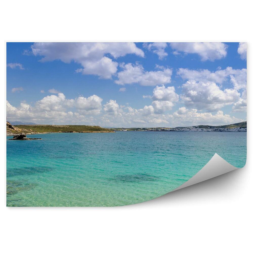 Fototapeta Hejno letících bílých racků zmrzlé moře obloha vlny