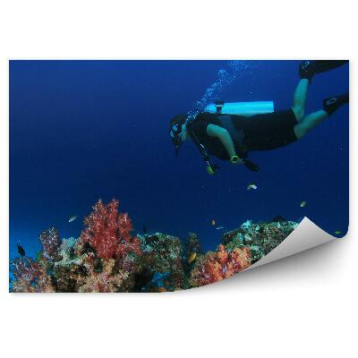 Fototapeta Korálový útes potápěč vodní ryby