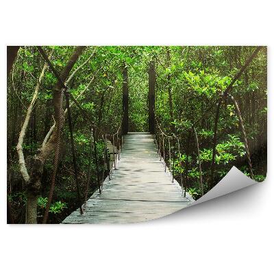 Samolepící fototapeta Zelený les v letním světle dopadajícím na visutý most