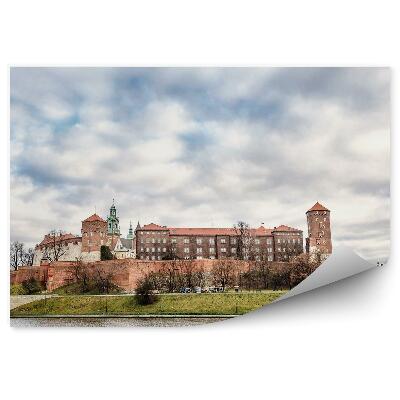 Tapeta ptačí perspektiva Visla Krakov lodě mraky rostliny