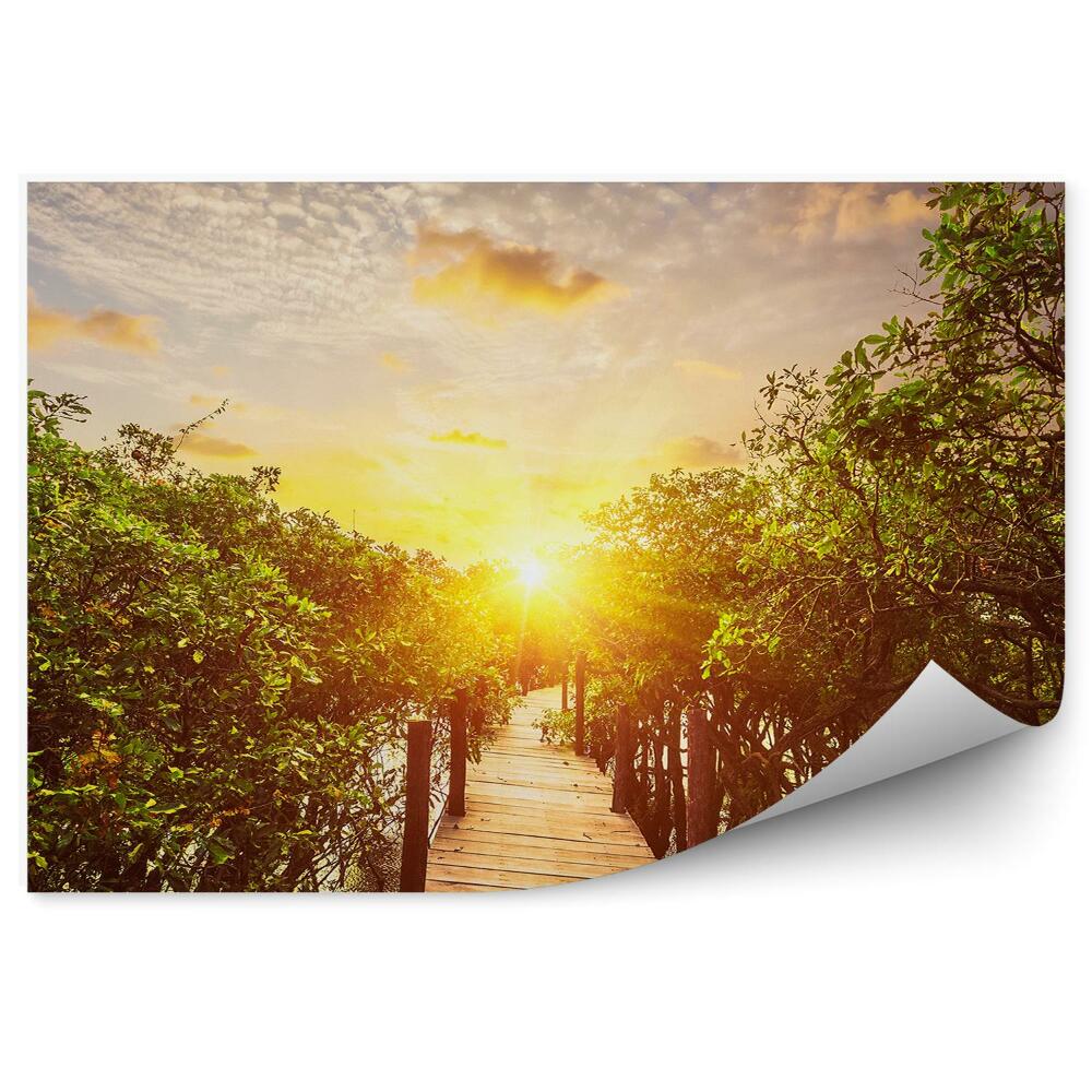 Samolepící fototapeta Deštný prales vodní dřevěný most slunce