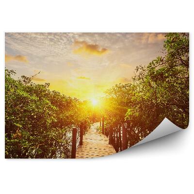 Samolepící fototapeta Deštný prales vodní dřevěný most slunce