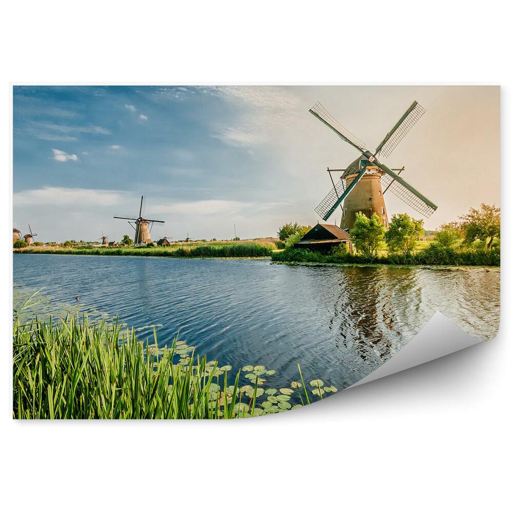 Samolepící fototapeta Léto v Rotterdamu Nizozemské větrné mlýny