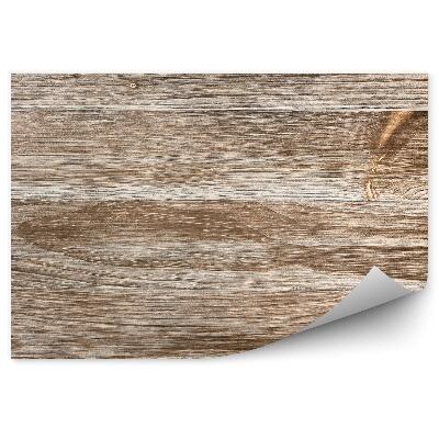 Samolepící fototapeta Textura dřeva s letokruhy