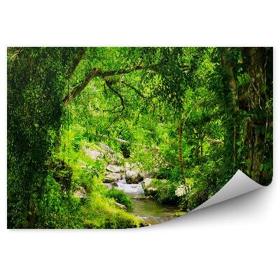 Fototapeta Vodopád stromu lesní kameny