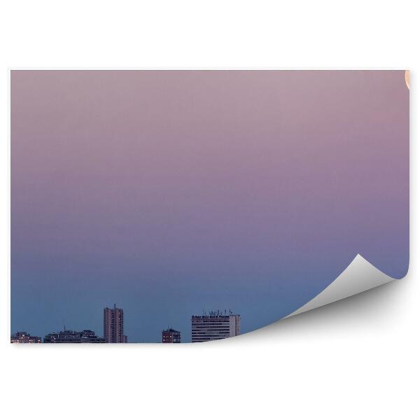 Fototapeta na zeď Tráva měsíc tmavé mraky