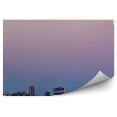 Fototapeta na zeď Tráva měsíc tmavé mraky