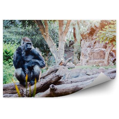 Samolepící fototapeta Gorila sedící na kládě v džungli