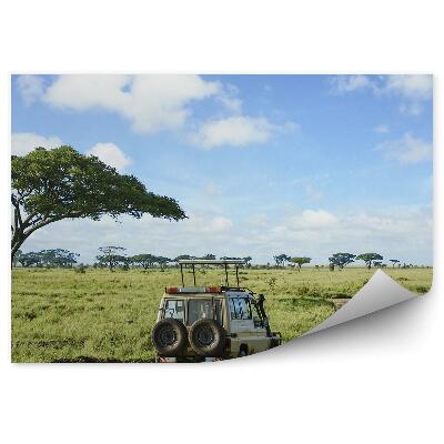 Tapeta na zeď Západ slunce Safari terénní auto